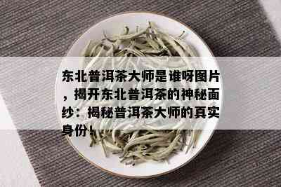 东北普洱茶大师是谁呀图片，揭开东北普洱茶的神秘面纱：揭秘普洱茶大师的真实身份！