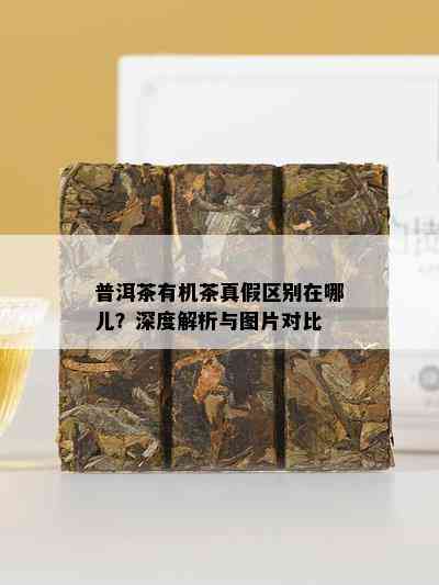 普洱茶有机茶真假区别在哪儿？深度解析与图片对比