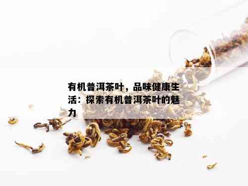 有机普洱茶叶，品味健康生活：探索有机普洱茶叶的魅力