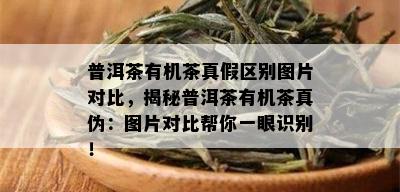 普洱茶有机茶真假区别图片对比，揭秘普洱茶有机茶真伪：图片对比帮你一眼识别！