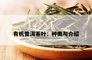 有机普洱茶叶：种类与介绍