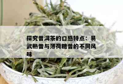 探究普洱茶的口感特点：易武熟普与薄荷糖普的不同风味