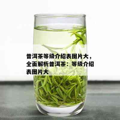 普洱茶等级介绍表图片大，全面解析普洱茶：等级介绍表图片大