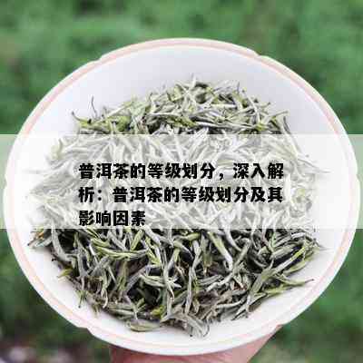 普洱茶的等级划分，深入解析：普洱茶的等级划分及其影响因素