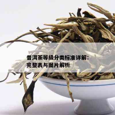 普洱茶等级分类标准详解：完整表与图片解析