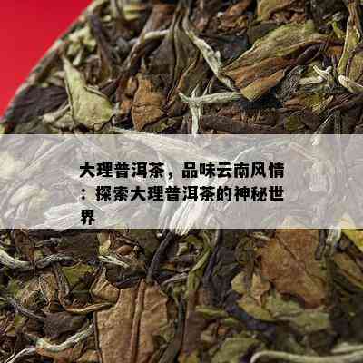 大理普洱茶，品味云南风情：探索大理普洱茶的神秘世界