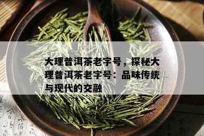 大理普洱茶老字号，探秘大理普洱茶老字号：品味传统与现代的交融