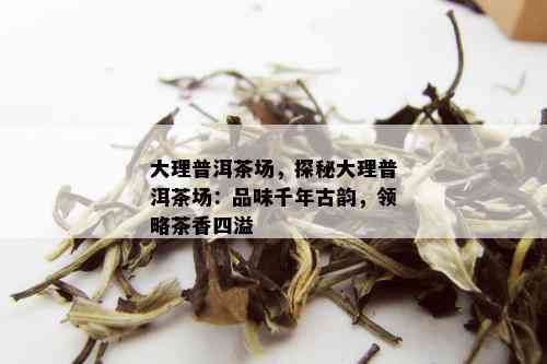 大理普洱茶场，探秘大理普洱茶场：品味千年古韵，领略茶香四溢