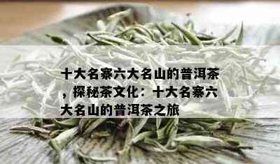 十大名寨六大名山的普洱茶，探秘茶文化：十大名寨六大名山的普洱茶之旅