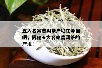 五大名寨普洱茶产地在哪里啊，揭秘五大名寨普洱茶的产地！