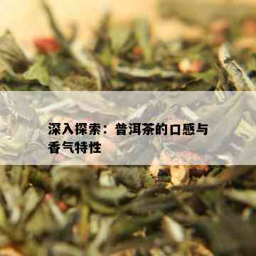 深入探索：普洱茶的口感与香气特性