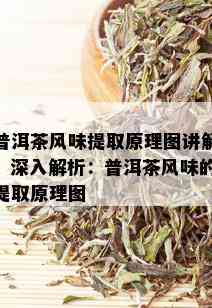 普洱茶风味提取原理图讲解，深入解析：普洱茶风味的提取原理图