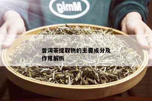 普洱茶提取物的主要成分及作用解析