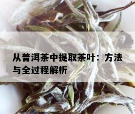 从普洱茶中提取茶叶：方法与全过程解析