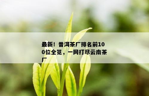 最新！普洱茶厂排名前100位全览，一网打尽云南茶厂