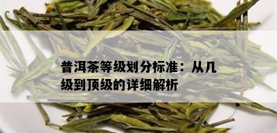 普洱茶等级划分标准：从几级到顶级的详细解析