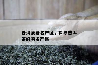 普洱茶著名产区，探寻普洱茶的著名产区