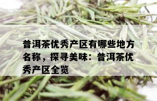 普洱茶优秀产区有哪些地方名称，探寻美味：普洱茶优秀产区全览