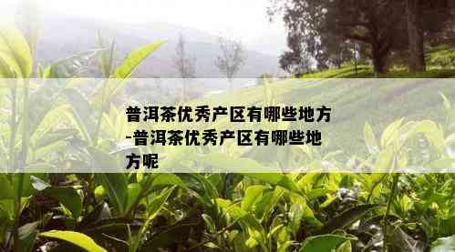 普洱茶优秀产区有哪些地方-普洱茶优秀产区有哪些地方呢