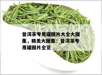 普洱茶专用罐图片大全大图集，精美大图集：普洱茶专用罐图片全览