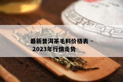 最新普洱茶毛料价格表 - 2023年行情走势