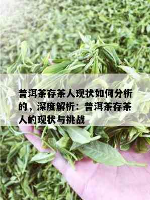 普洱茶存茶人现状如何分析的，深度解析：普洱茶存茶人的现状与挑战