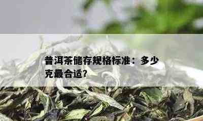 普洱茶储存规格标准：多少克最合适？