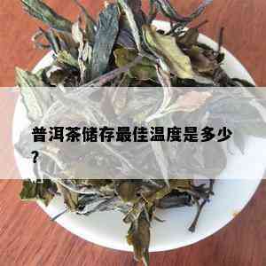 普洱茶储存更佳温度是多少？