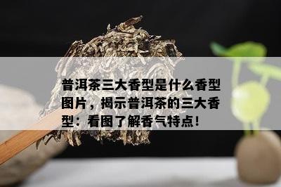 普洱茶三大香型是什么香型图片，揭示普洱茶的三大香型：看图了解香气特点！