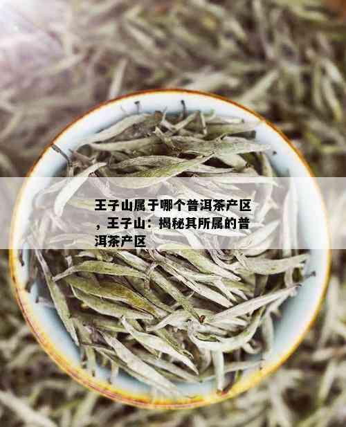 王子山属于哪个普洱茶产区，王子山：揭秘其所属的普洱茶产区