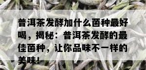 普洱茶发酵加什么菌种更好喝，揭秘：普洱茶发酵的更佳菌种，让你品味不一样的美味！