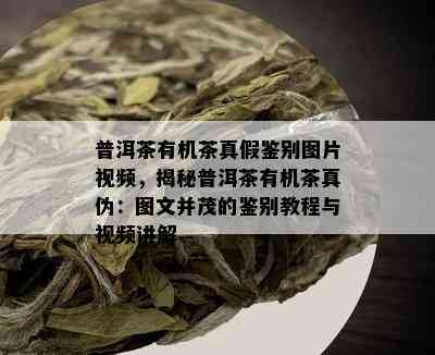 普洱茶有机茶真假鉴别图片视频，揭秘普洱茶有机茶真伪：图文并茂的鉴别教程与视频讲解