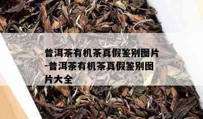 普洱茶有机茶真假鉴别图片-普洱茶有机茶真假鉴别图片大全