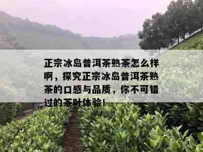 正宗冰岛普洱茶熟茶怎么样啊，探究正宗冰岛普洱茶熟茶的口感与品质，你不可错过的茶叶体验！