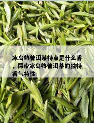 冰岛熟普洱茶特点是什么香，探索冰岛熟普洱茶的独特香气特性