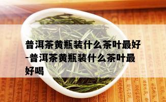 普洱茶黄瓶装什么茶叶更好-普洱茶黄瓶装什么茶叶更好喝