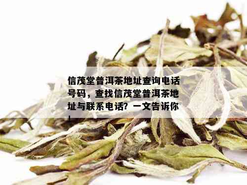 信茂堂普洱茶地址查询电话号码，查找信茂堂普洱茶地址与联系电话？一文告诉你！