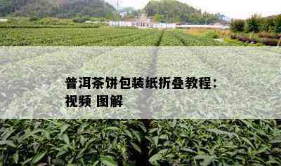 普洱茶饼包装纸折叠教程：视频 图解