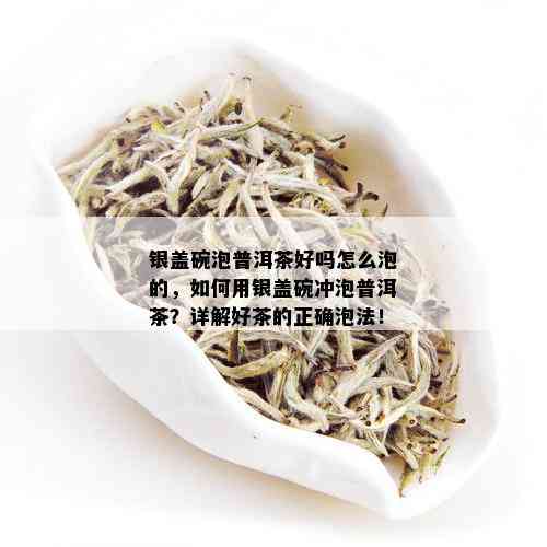 银盖碗泡普洱茶好吗怎么泡的，如何用银盖碗冲泡普洱茶？详解好茶的正确泡法！