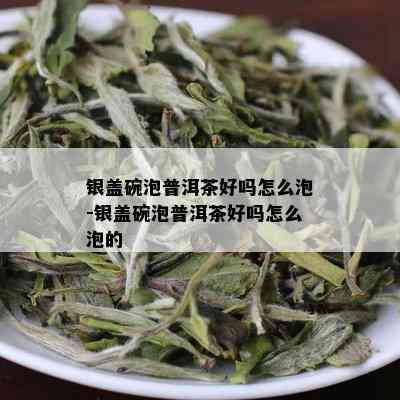 银盖碗泡普洱茶好吗怎么泡-银盖碗泡普洱茶好吗怎么泡的