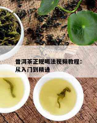 普洱茶正规喝法视频教程：从入门到精通