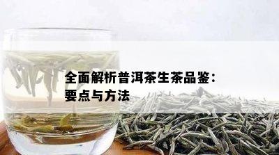 全面解析普洱茶生茶品鉴：要点与方法