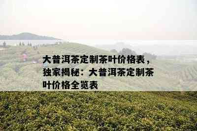 大普洱茶定制茶叶价格表，独家揭秘：大普洱茶定制茶叶价格全览表