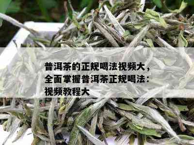 普洱茶的正规喝法视频大，全面掌握普洱茶正规喝法：视频教程大