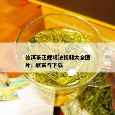 普洱茶正规喝法视频大全图片：欣赏与下载