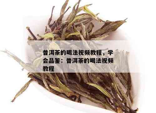 普洱茶的喝法视频教程，学会品鉴：普洱茶的喝法视频教程