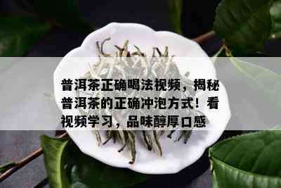 普洱茶正确喝法视频，揭秘普洱茶的正确冲泡方式！看视频学习，品味醇厚口感