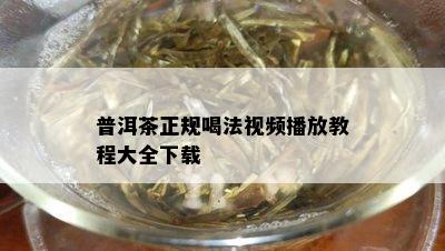 普洱茶正规喝法视频播放教程大全下载