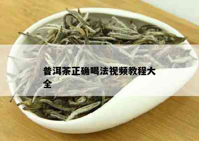 普洱茶正确喝法视频教程大全