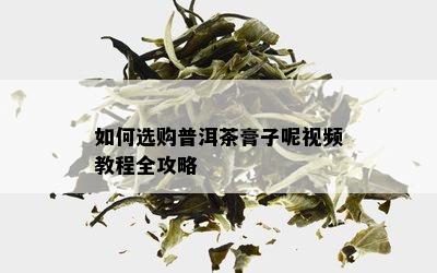 如何选购普洱茶膏子呢视频教程全攻略